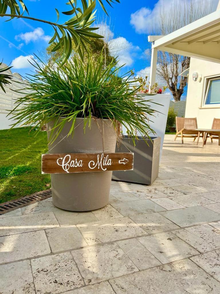 Casa Mila White Villa Marina di Cerveteri Екстериор снимка